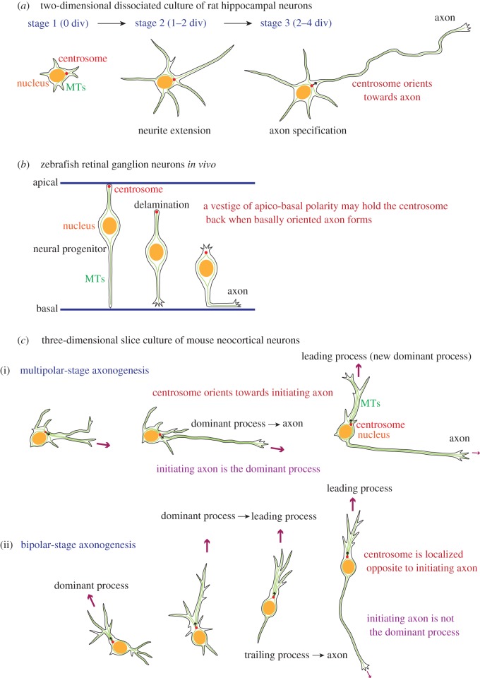 Figure 2.