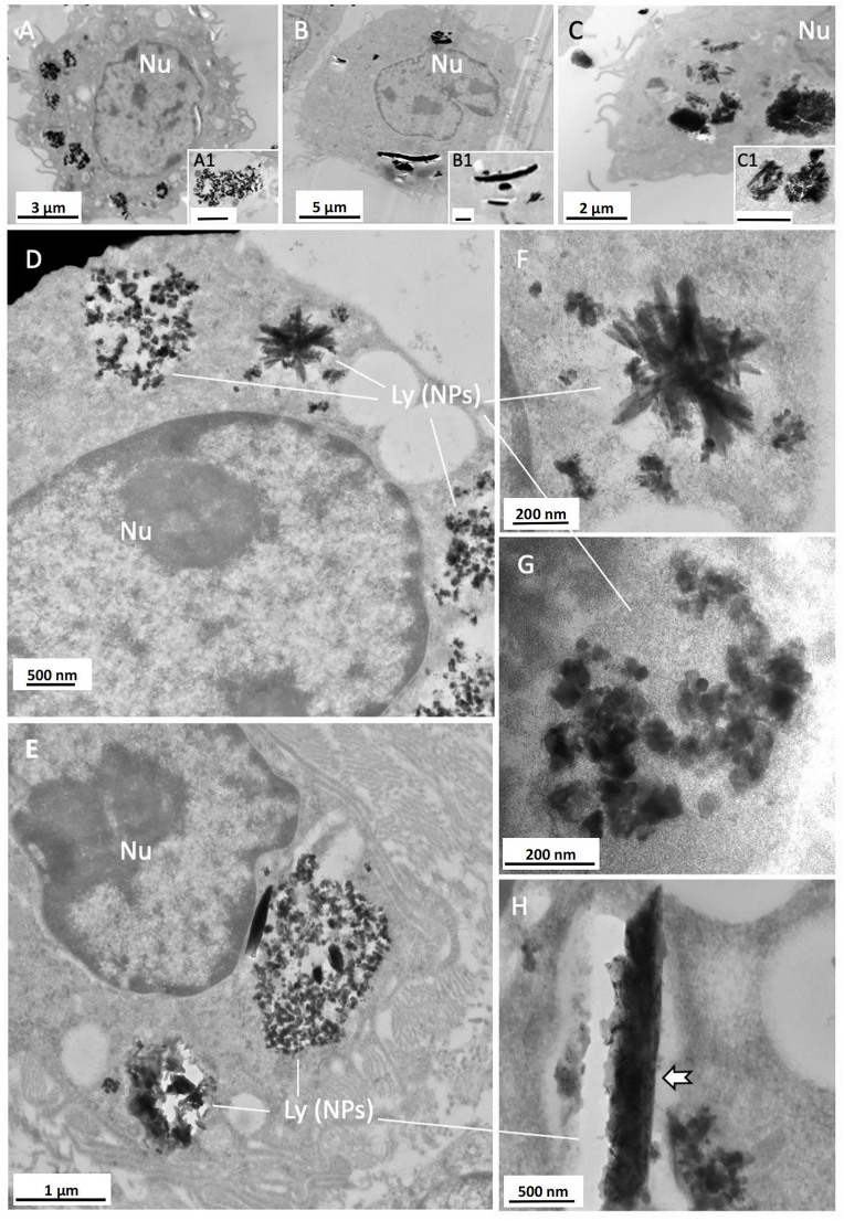 Fig. 3