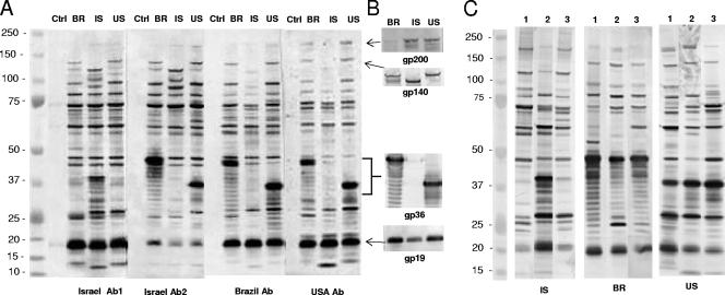 FIG. 4.