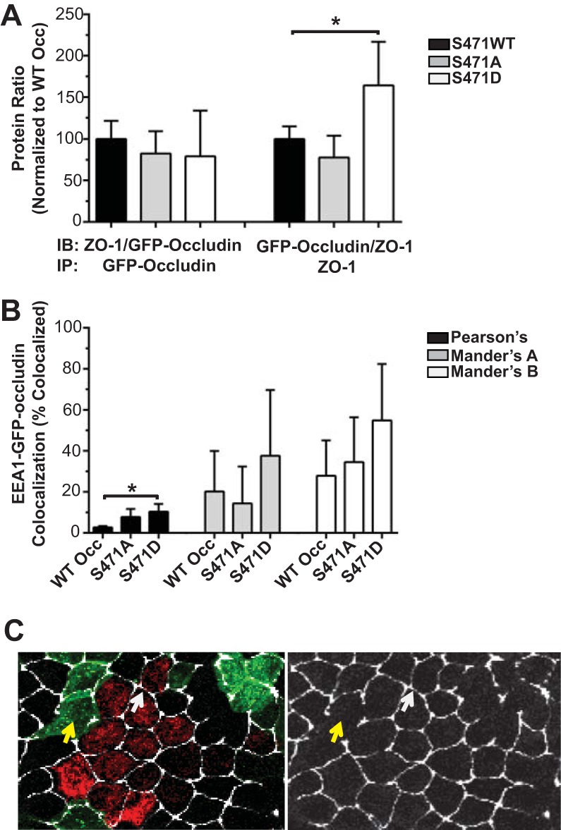 FIG 3