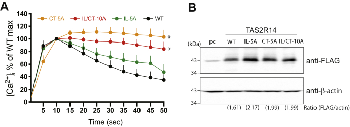 Figure 2