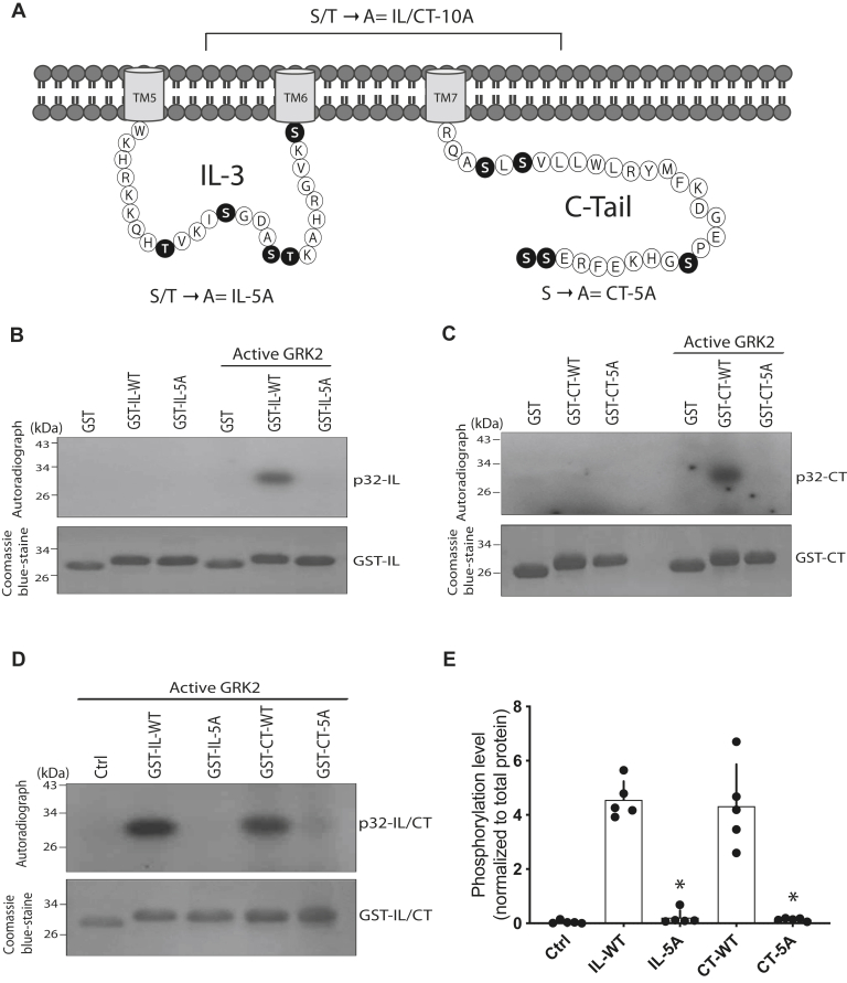 Figure 1