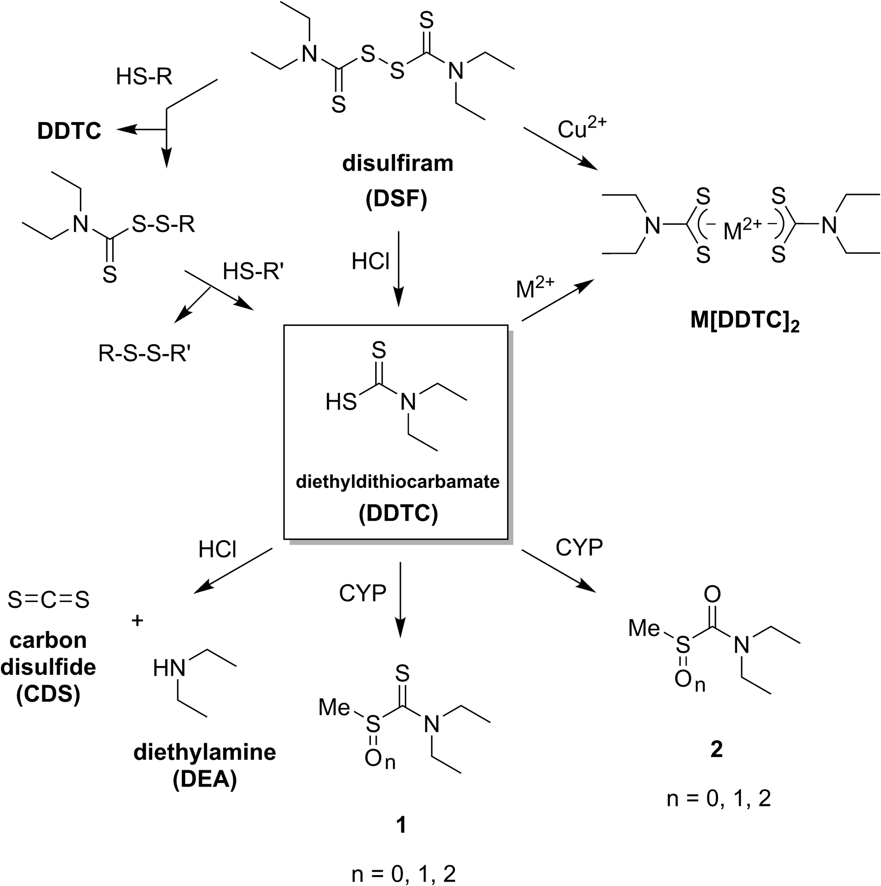 Disulfiram: A Repurposed Drug in Preclinical and Clinical Development ...