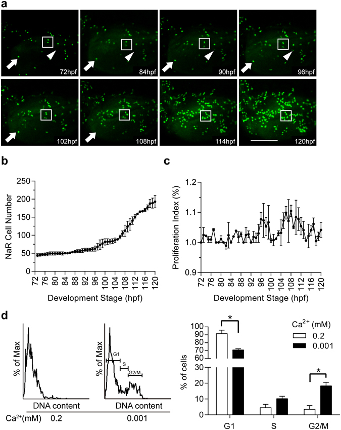 Figure 5