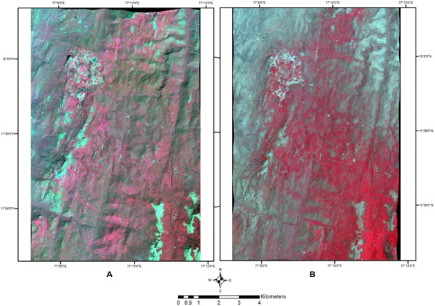 FIGURE 2