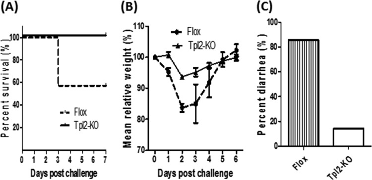 FIG 3