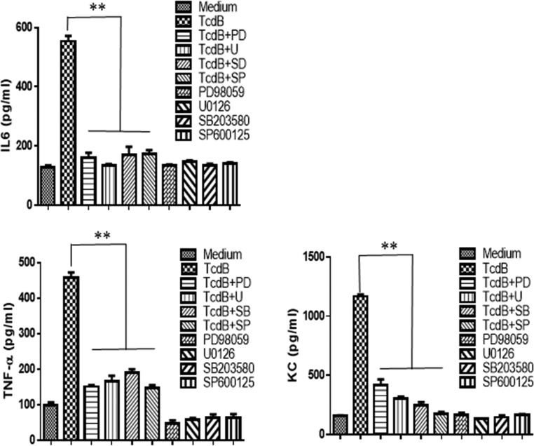 FIG 12