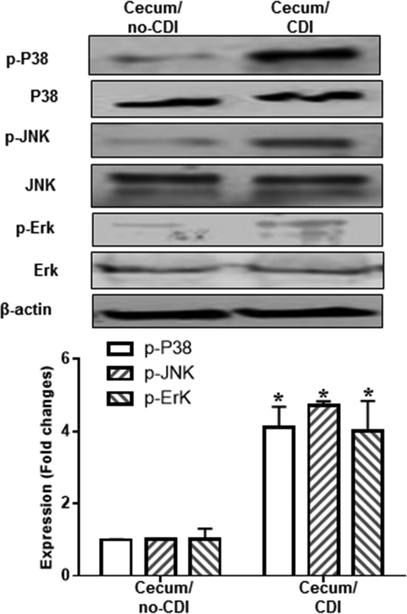 FIG 10