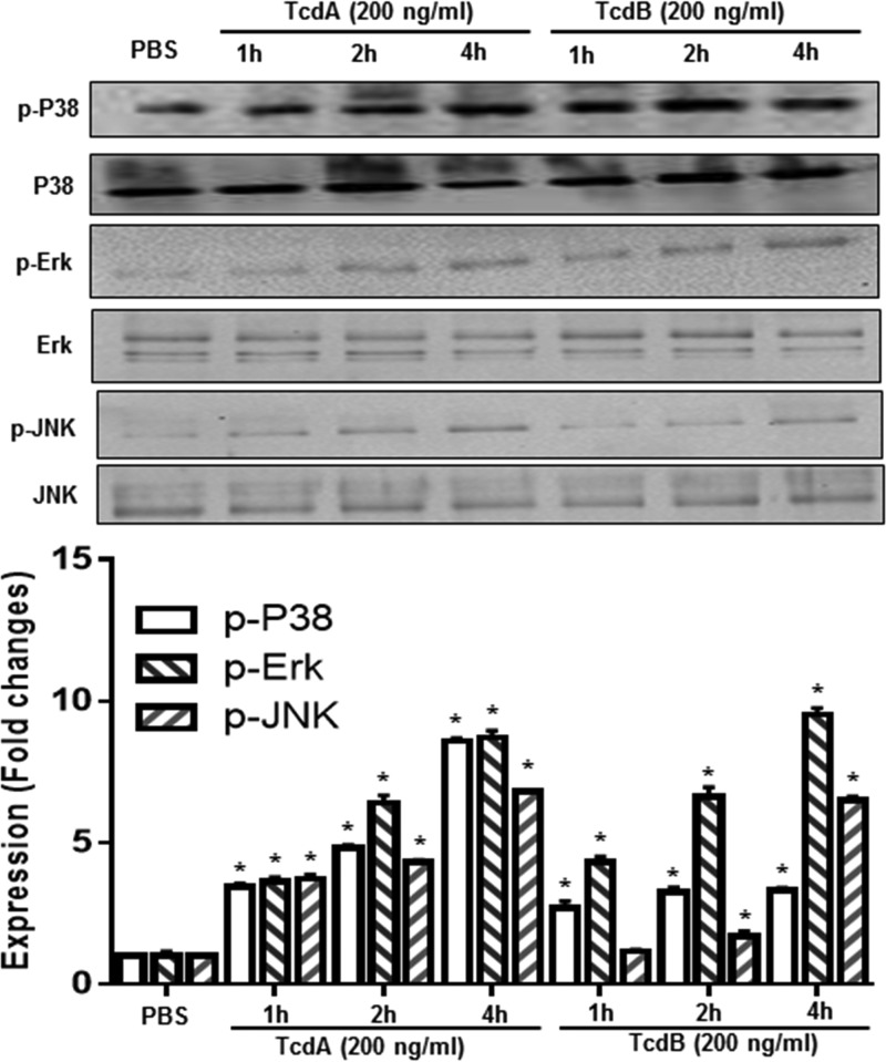 FIG 11