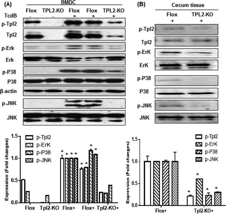 FIG 9