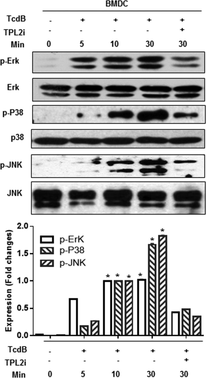 FIG 8