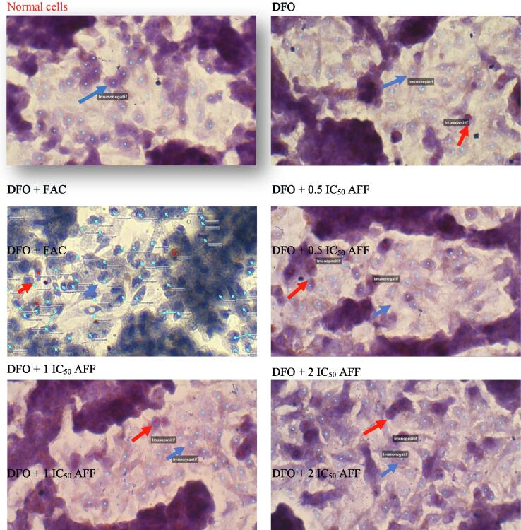 Fig. 7