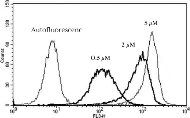 Fig. 3