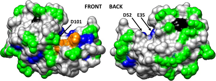 Fig. 5.