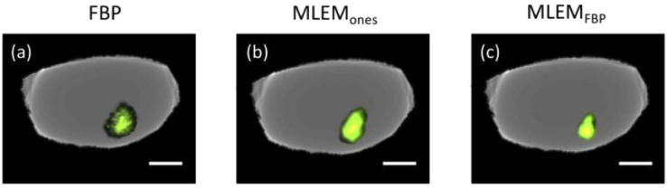 Fig. 9.