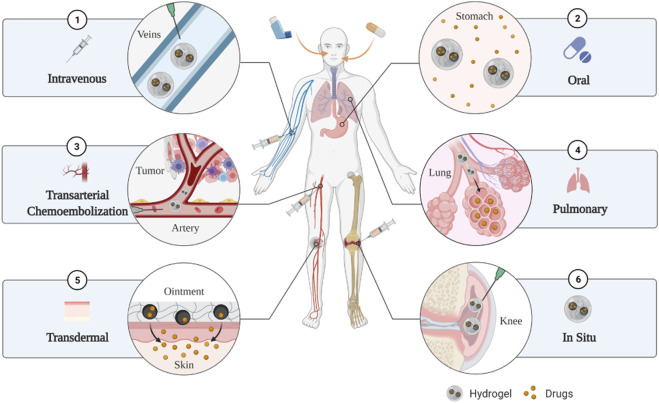 FIGURE 2