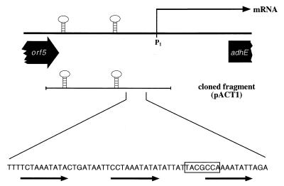 FIG. 5.