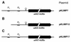 FIG. 2.