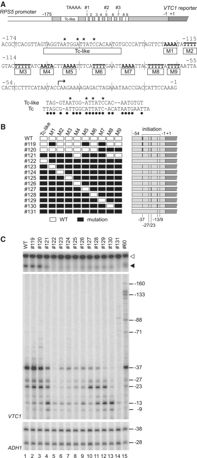 Figure 6.