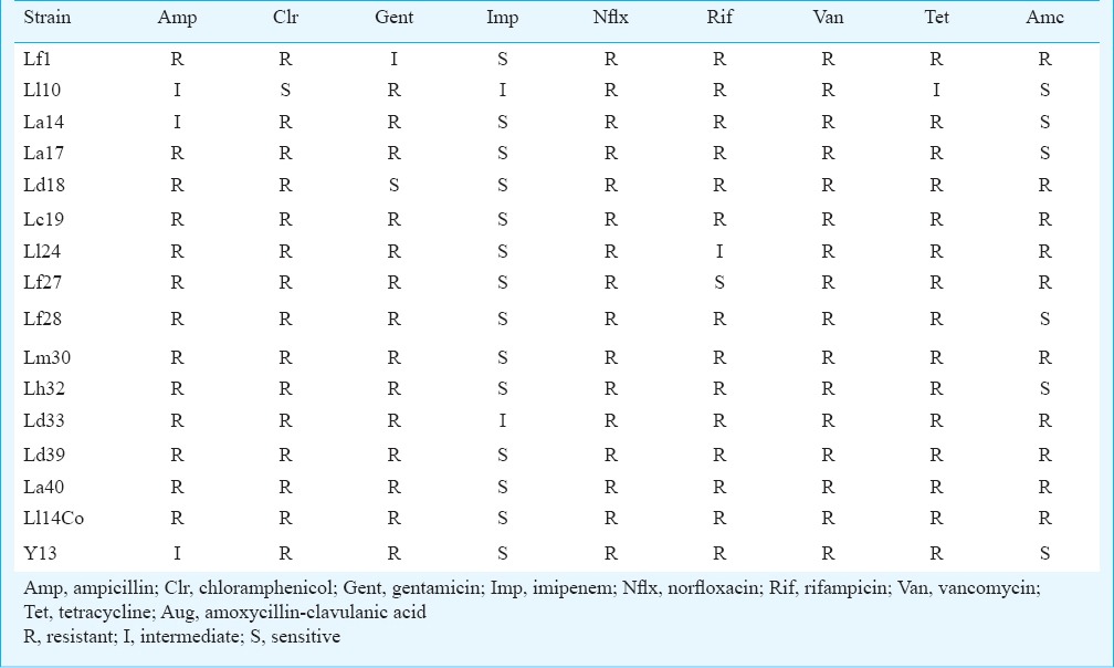 graphic file with name IJMR-140-345-g005.jpg