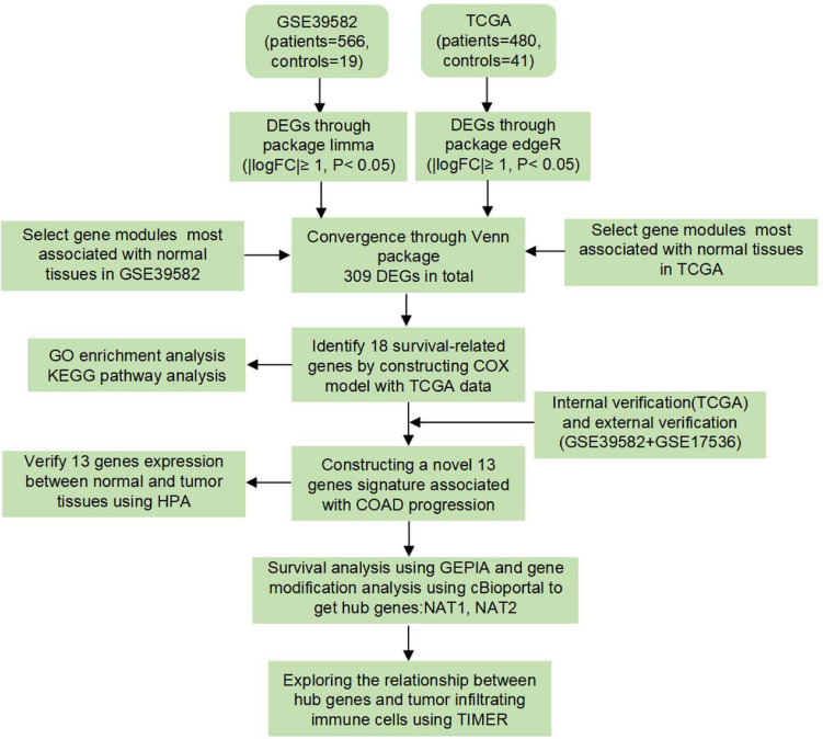 FIGURE 1