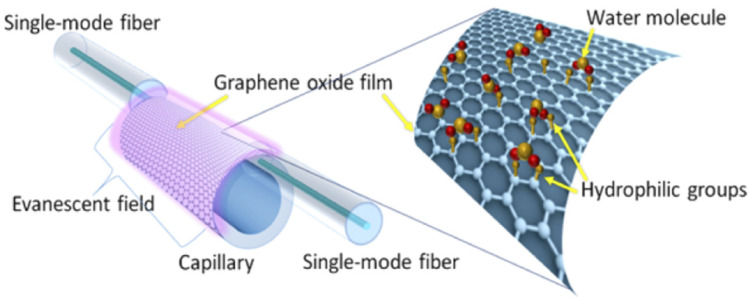 Figure 31