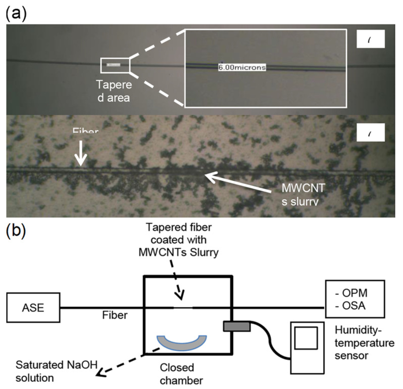 Figure 25