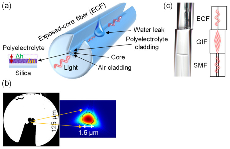 Figure 44