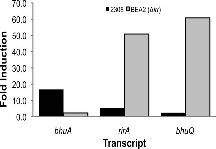 Fig 5