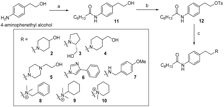 Scheme 1