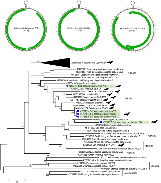 FIG 6