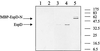 FIG. 10