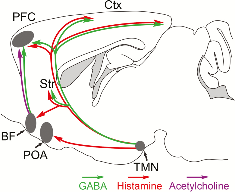 Figure 2.