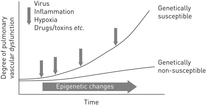 FIGURE 1