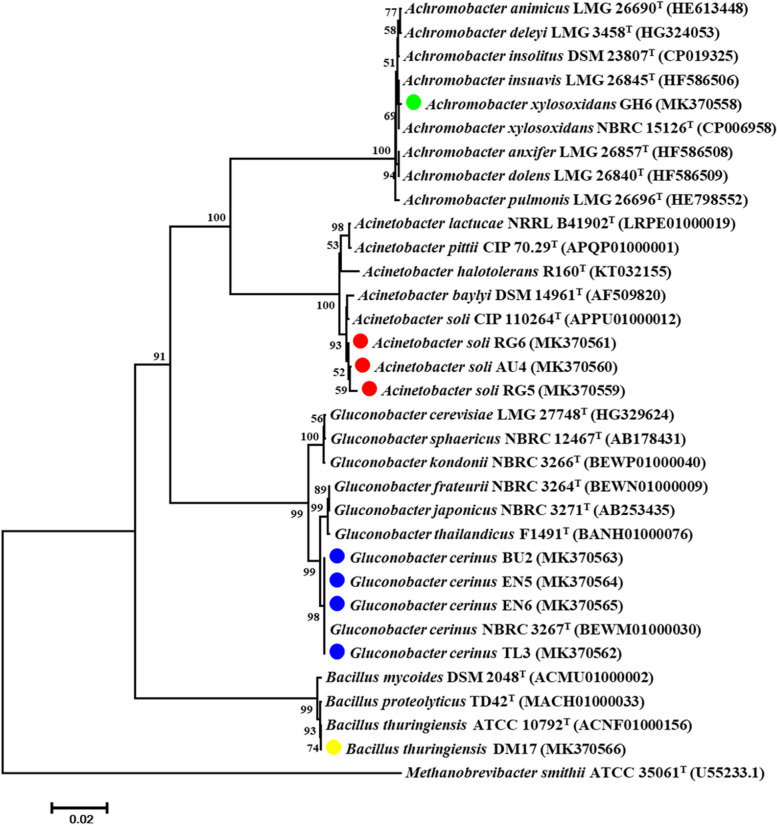 Fig. 2