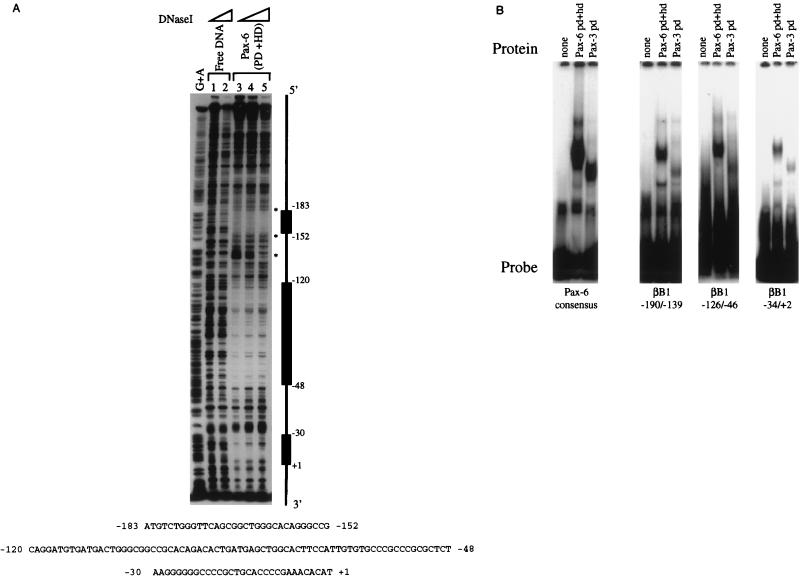 FIG. 5