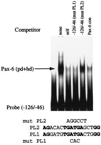 FIG. 6