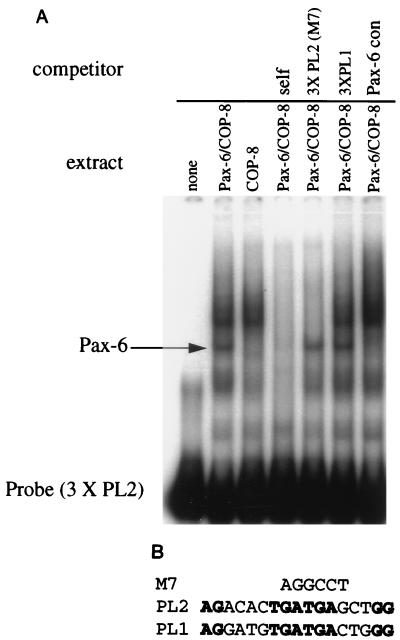 FIG. 8