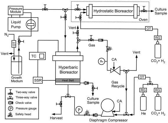 FIG. 1.