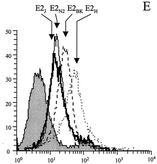 FIG. 7.