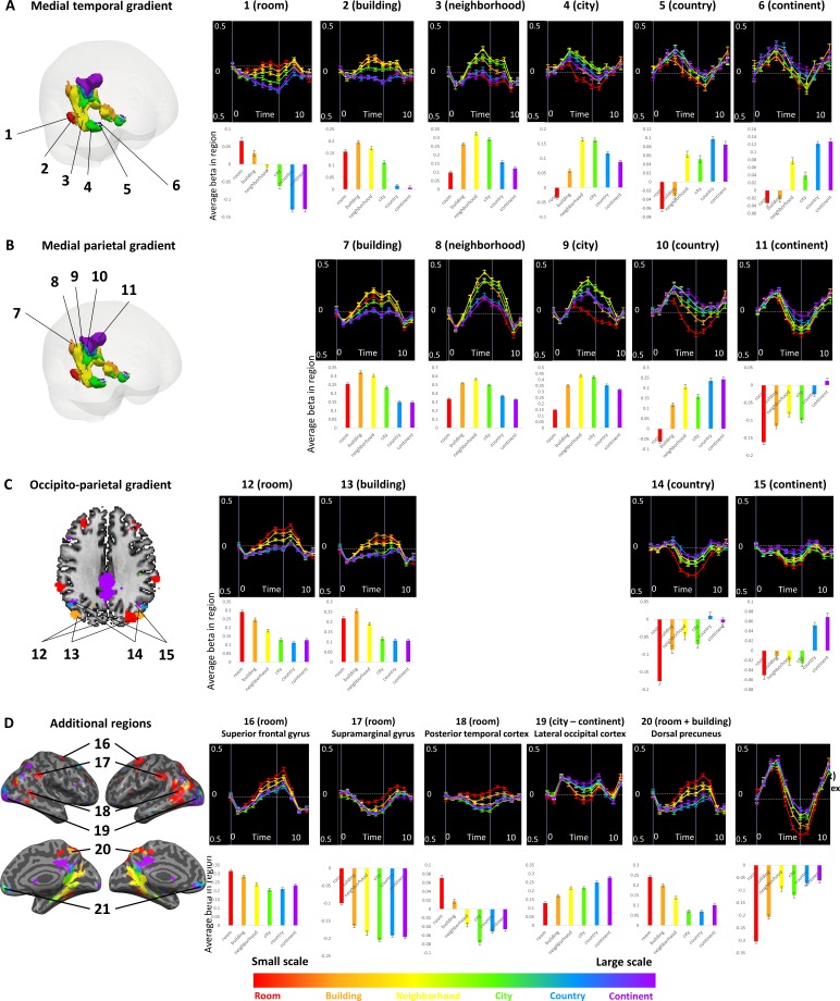 Figure 2—figure supplement 4.