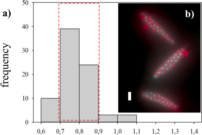 Fig. 6