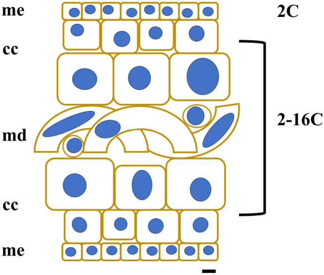 Fig. 9