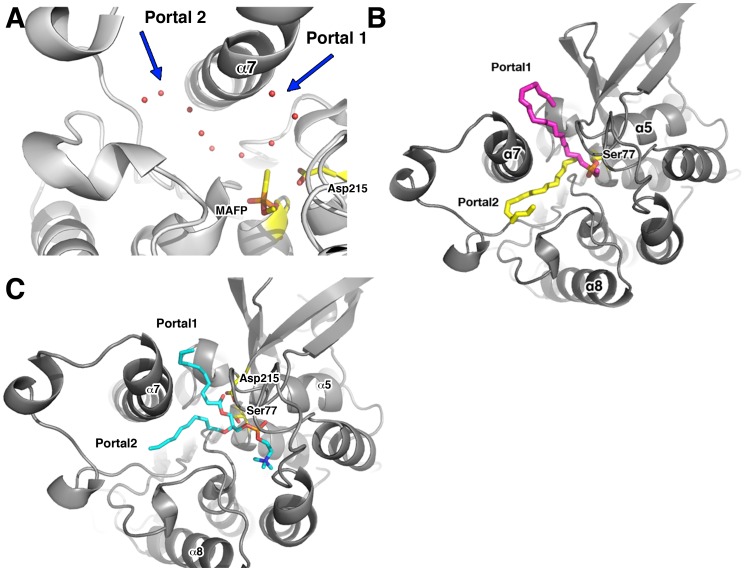 Figure 5