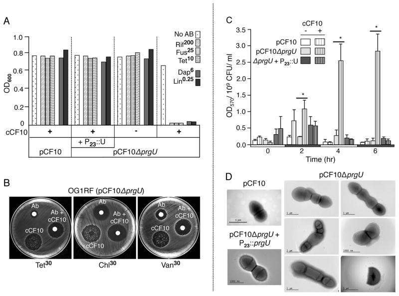 FIG. 4