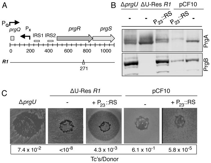 FIG. 3