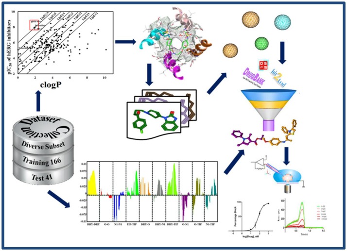 Graphical Abstract