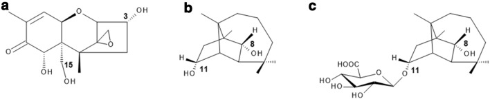 Fig. 1