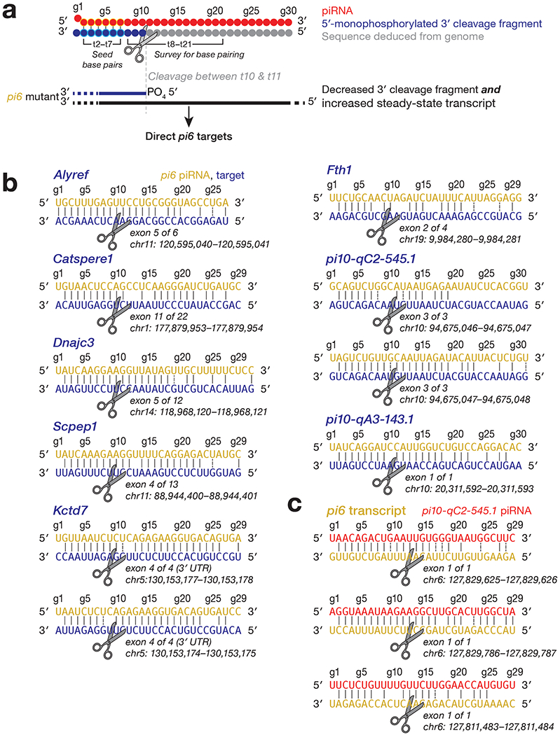 Extended Data Fig. 5