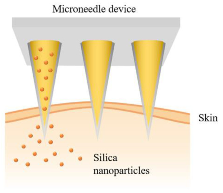 Figure 7